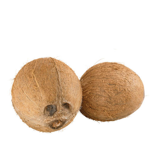 Hindistan Cevizi Adet nin resmi