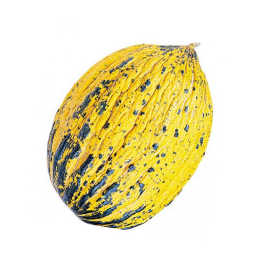 Kavun Kırkağaç Kg nin resmi