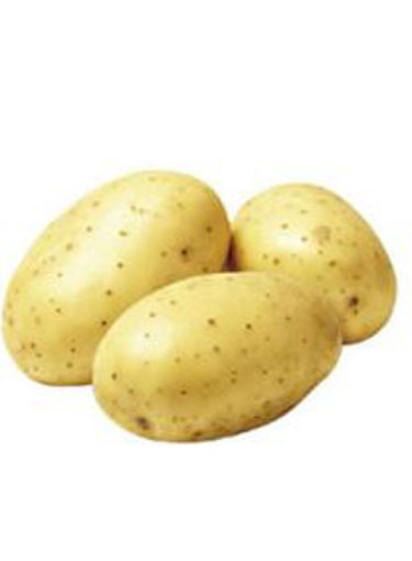 Patates Taze Kg nin resmi