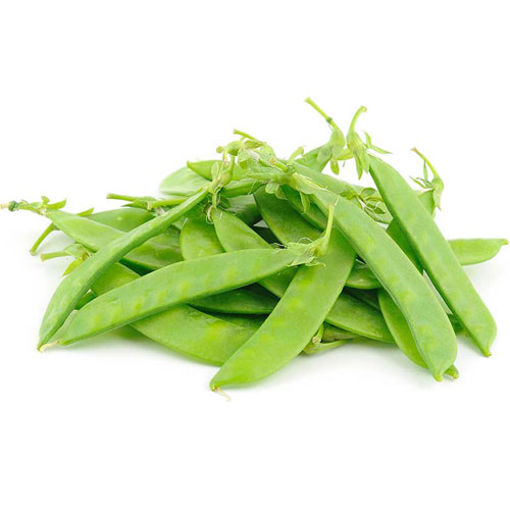 Bezelye Sultani Kg nin resmi