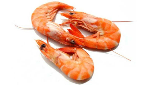 Karides Kırmızı (Kg) nin resmi