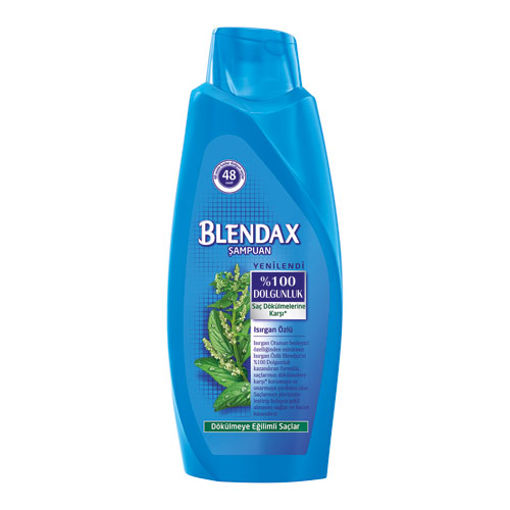 Blendax Şampuan Isırgan Özlü 500 Ml nin resmi