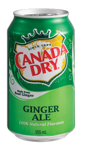 Canada Dry 330ml nin resmi
