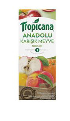 Tropicana Anadolu Meyveleri Karisik 200ml nin resmi