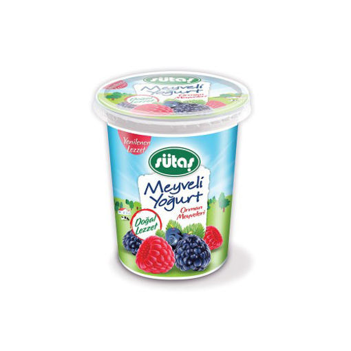 Sütaş Orman Meyveli Yoğurt 500gr nin resmi
