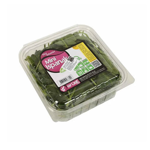 Aydın Erüst Ispanak Orta Boy 700 Gr nin resmi