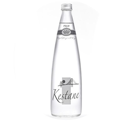 Kestane Su Cam 0,75 Lt nin resmi