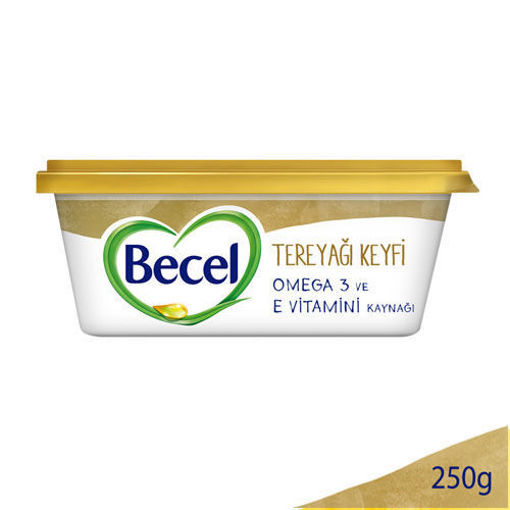 Becel Kase Margarin Tereyağı Keyfi 250 Gr nin resmi
