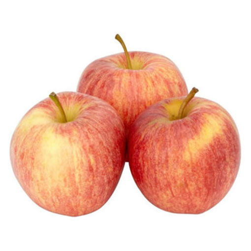 Elma Gala Kg nin resmi