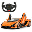 1/14 Lamborghini Sian Kumandalı Araba S00097700 nin resmi