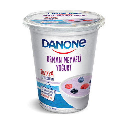 Danone Orman Meyveli Yoğurt 400 Gr nin resmi