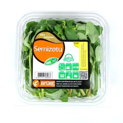 Aydin Erust Semizotu Ayiklanmis 150gr nin resmi