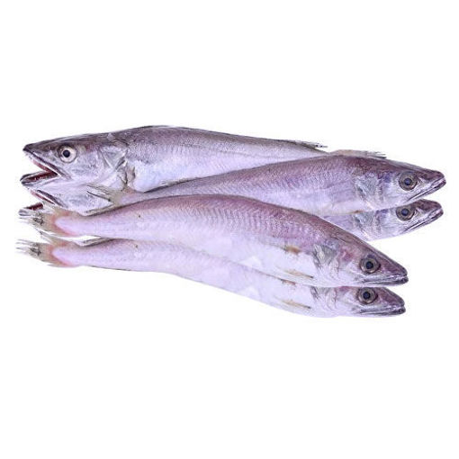 Mırlan Kg nin resmi