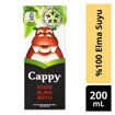 Cappy Meyve Suyu Elma 200 Ml nin resmi