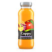 Cappy %100 Meyve Suyu Karışık 250 Ml nin resmi