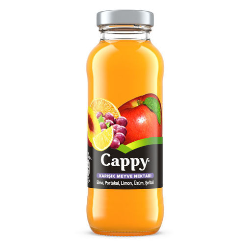 Cappy %100 Meyve Suyu Karışık 250 Ml nin resmi