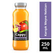 Cappy %100 Meyve Suyu Karışık 250 Ml nin resmi