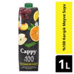 Cappy %100 Meyve Suyu Karışık 1 Lt nin resmi