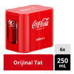 Coca Cola Kutu 6x250 Ml nin resmi