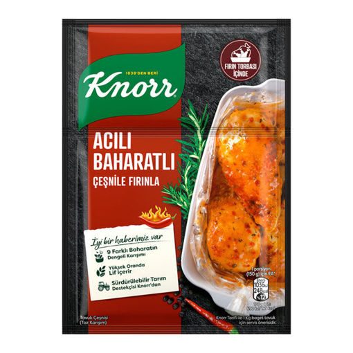 Knorr Fırında Tavuk Çeşnisi Acılı Baharatlı 31 Gr nin resmi