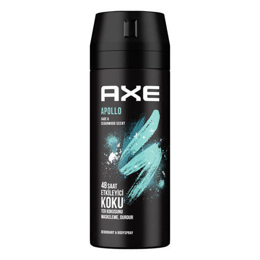 Axe Apollo Erkek Sprey Deodorant 150 Ml nin resmi