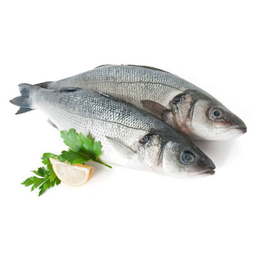 Levrek Deniz 700-800Kg nin resmi