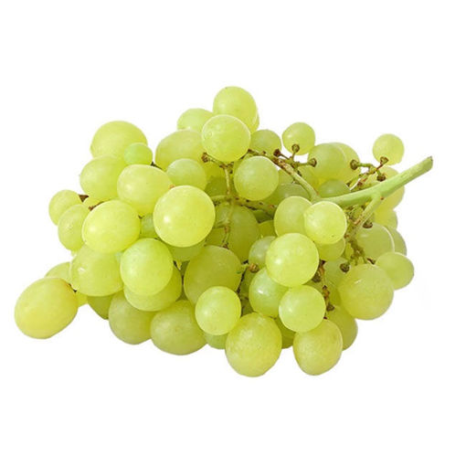 Üzüm Beyaz Çekirdeksiz Kg nin resmi