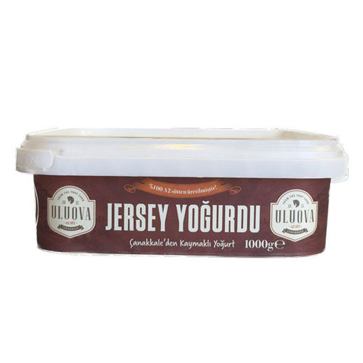 Uluova Jersey Kaymaklı Tava Yoğurt 1Kg nin resmi