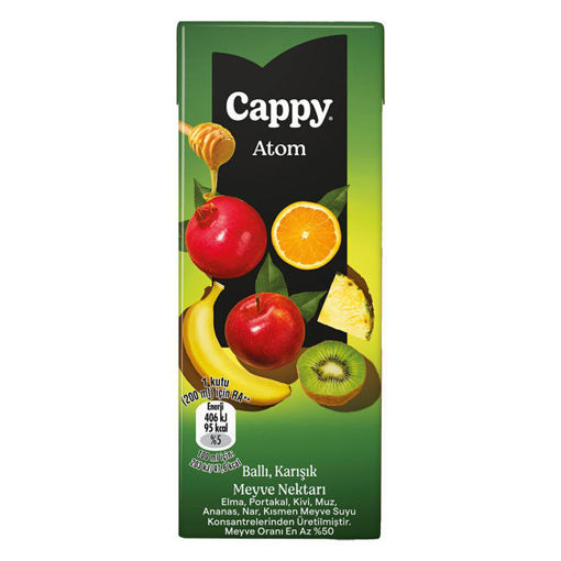 Cappy Atom Karışık Meyve Nektarı 200 ML nin resmi