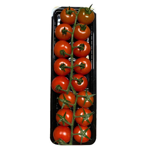 Erust Salkım Domates Kokteyl 300Gr nin resmi