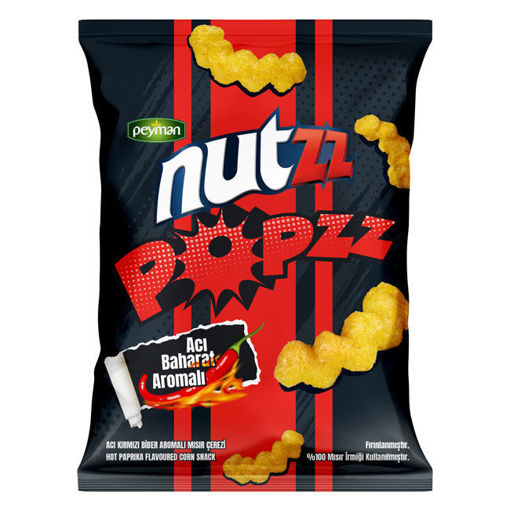 Peyman Nutzz Popzz Acı Baharat 100 Gr nin resmi