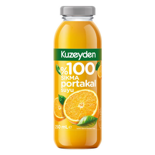 Kuzeyden %100 Sıkma Portakal Suyu 250 Ml nin resmi