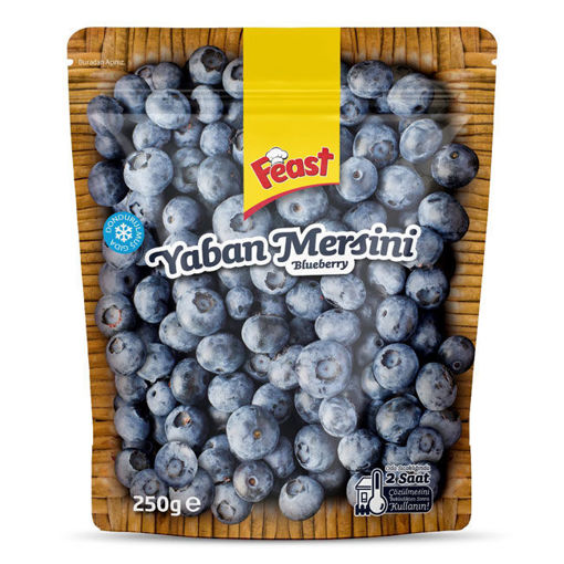 Feast  Dondurulmuş Yaban Mersini 250 Gr nin resmi