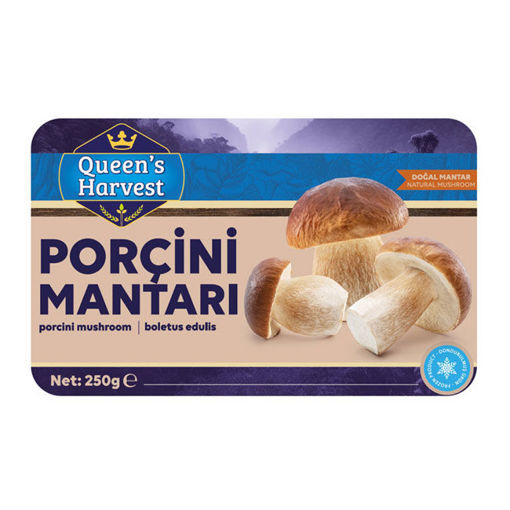 Queens Harvest Porçini Mantar 250 Gr nin resmi