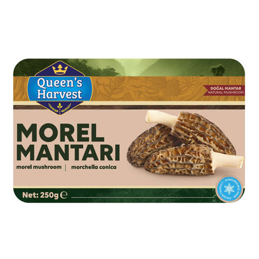 Queens Harvest Morel Mantar 250 Gr nin resmi