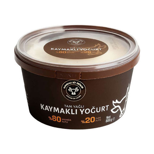 Pamukkale Manda Yoğurt 800g nin resmi