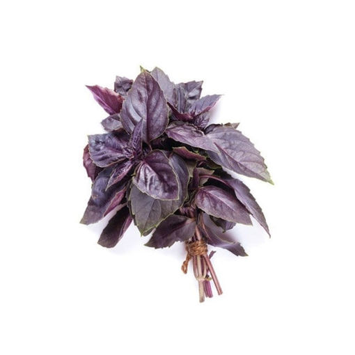 Reyhan Demet nin resmi