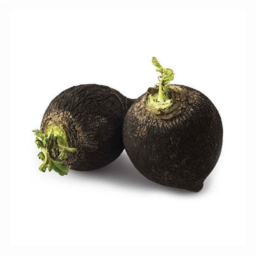 Turp Siyah Kg. nin resmi