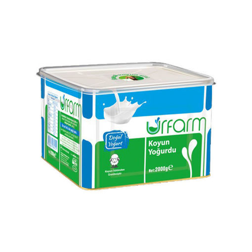 Urfarm Koyun Yoğurdu 2 kg Teneke nin resmi