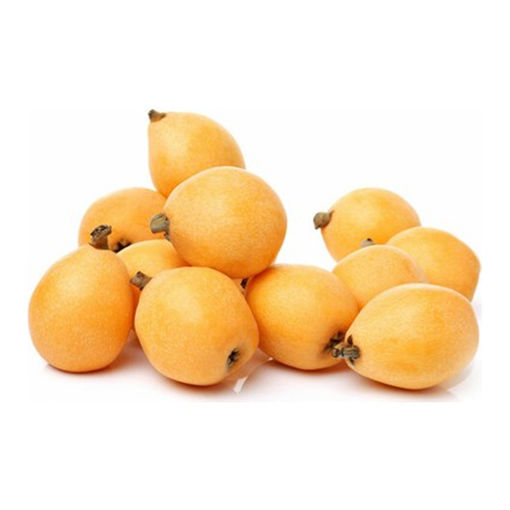 Erik Malta Kg nin resmi