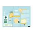 Elite Naturel Organik Klasik Limonata 250 Ml nin resmi