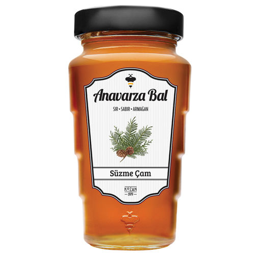 Anavarza Çam Balı 450 Gr nin resmi