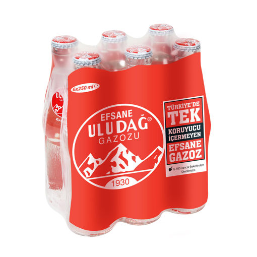 Uludağ Efsane Gazoz 6X250 Ml nin resmi