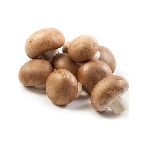 Kestane Mantar Kg nin resmi