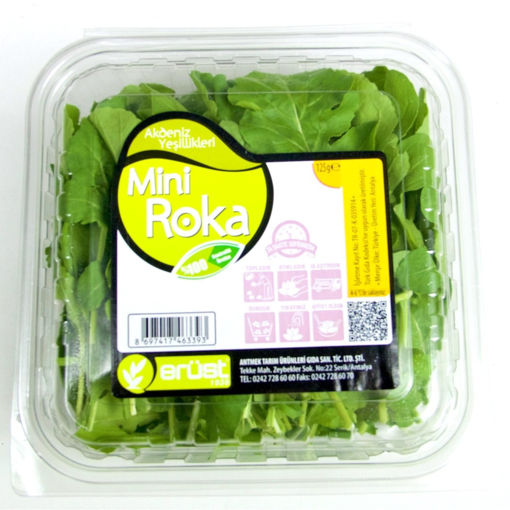 Roka Mini 125 Gr Erüst nin resmi