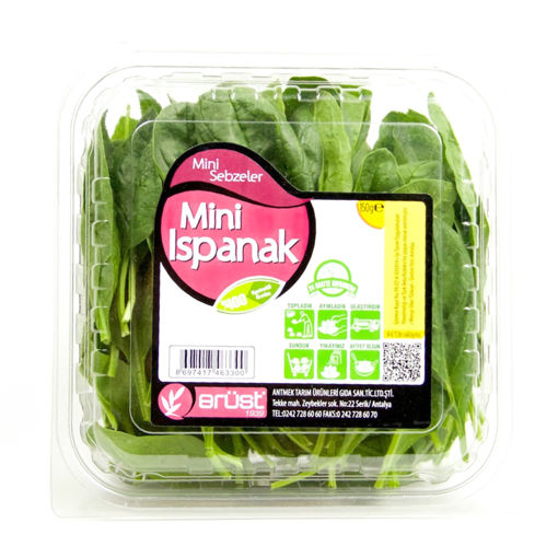 Erüst Ispanak Mini 150 Gr nin resmi