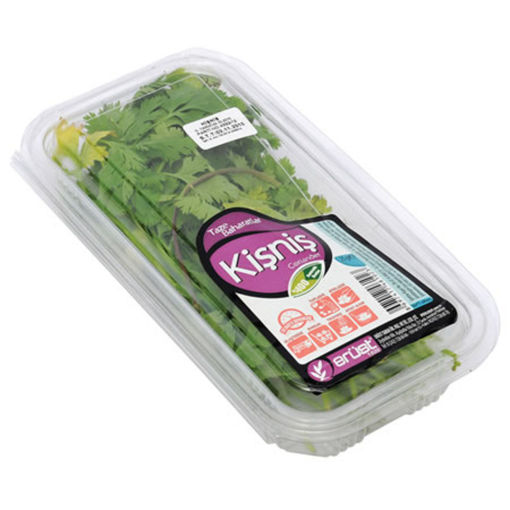 Erüst Kişniş 25 Gr nin resmi