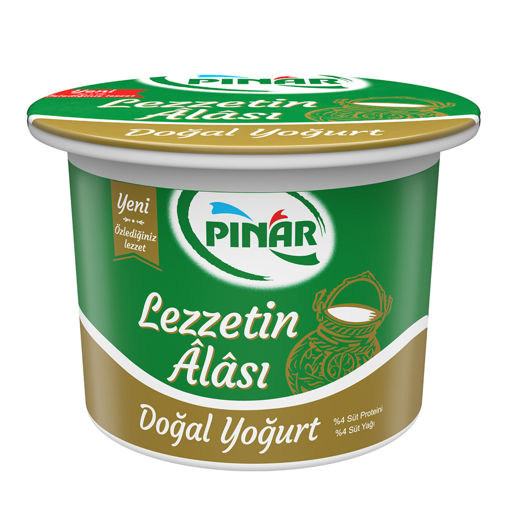 Pınar Yoğurt Lezzetin Alası 500 Gr nin resmi