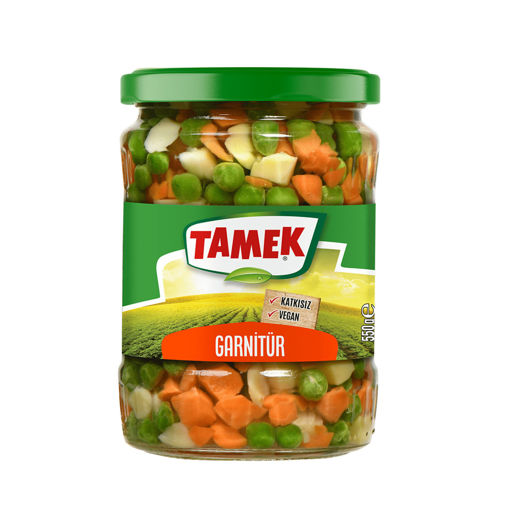 Tamek Garnitür Cam 550 Gr nin resmi