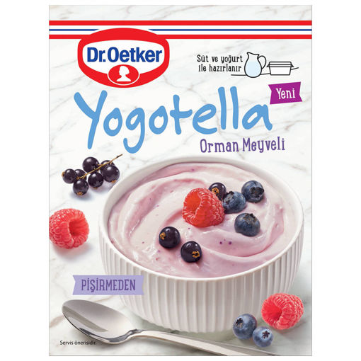 Dr.Oetker Yogotella Orman Meyveli 69 Gr nin resmi